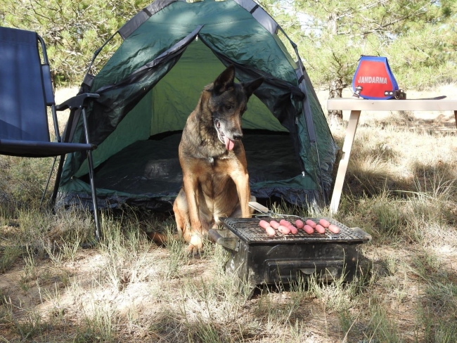 Jandarmanın "Cimri"si emekli oldu